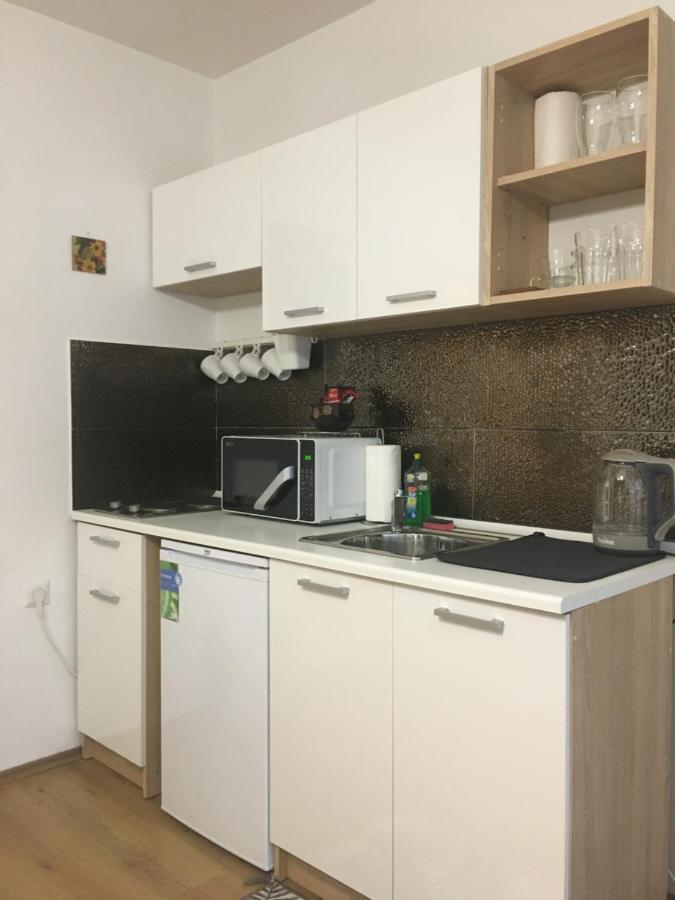 Magnolia Apartment, Osijek - Self Check In אוסילק מראה חיצוני תמונה